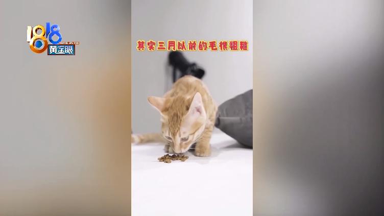 DƬ